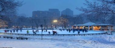 体育赛事活动策划